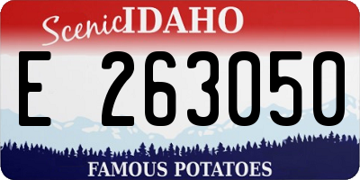 ID license plate E263050