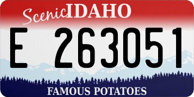 ID license plate E263051
