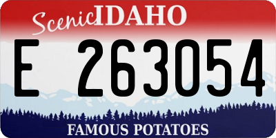 ID license plate E263054