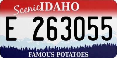 ID license plate E263055
