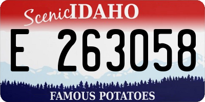 ID license plate E263058