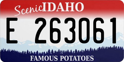 ID license plate E263061