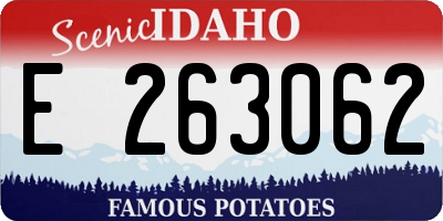 ID license plate E263062