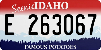 ID license plate E263067