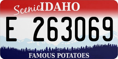 ID license plate E263069