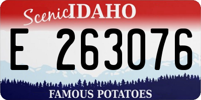 ID license plate E263076