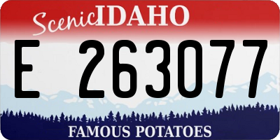 ID license plate E263077