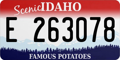 ID license plate E263078