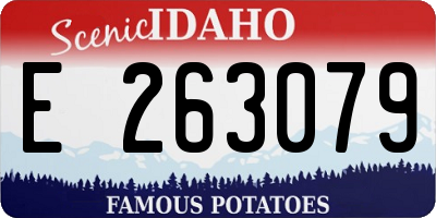 ID license plate E263079