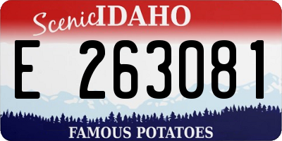 ID license plate E263081