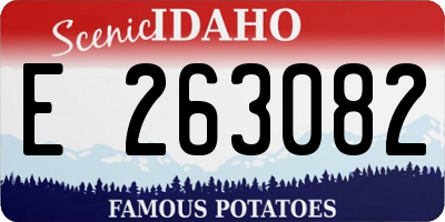 ID license plate E263082