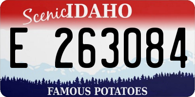 ID license plate E263084