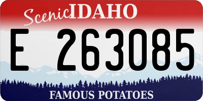 ID license plate E263085