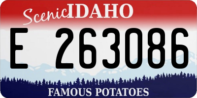 ID license plate E263086