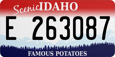 ID license plate E263087