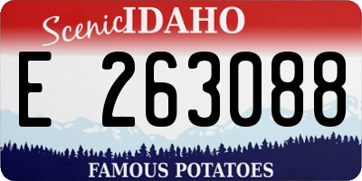 ID license plate E263088