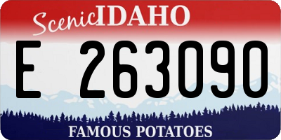 ID license plate E263090