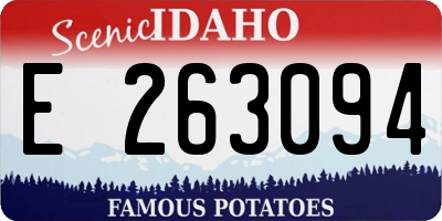 ID license plate E263094
