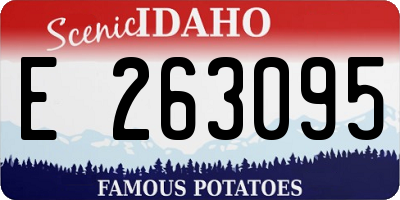 ID license plate E263095