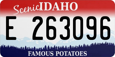ID license plate E263096