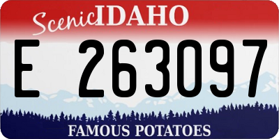 ID license plate E263097