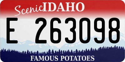 ID license plate E263098