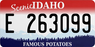 ID license plate E263099