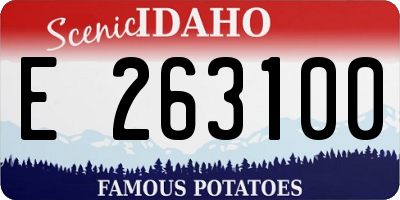ID license plate E263100