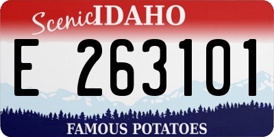 ID license plate E263101