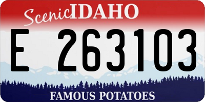 ID license plate E263103