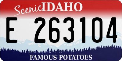 ID license plate E263104