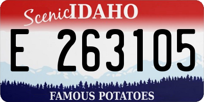 ID license plate E263105
