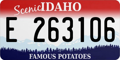 ID license plate E263106