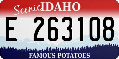 ID license plate E263108