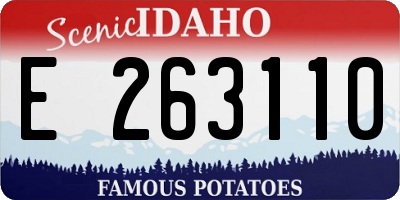 ID license plate E263110