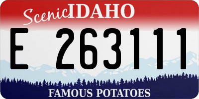 ID license plate E263111