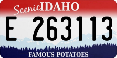 ID license plate E263113