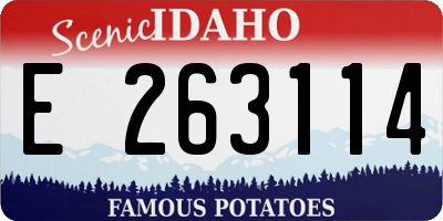 ID license plate E263114