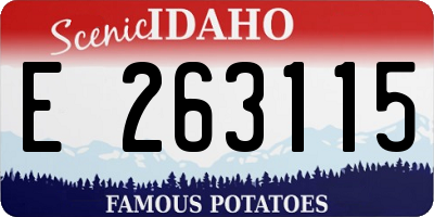 ID license plate E263115