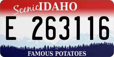 ID license plate E263116
