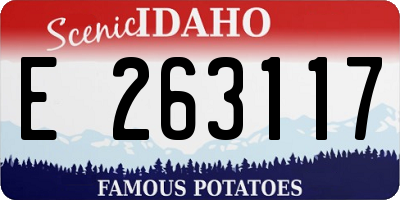 ID license plate E263117