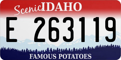 ID license plate E263119