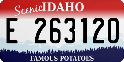 ID license plate E263120