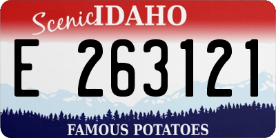 ID license plate E263121