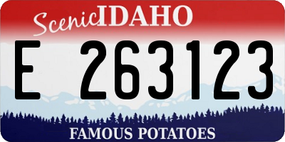 ID license plate E263123