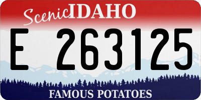 ID license plate E263125