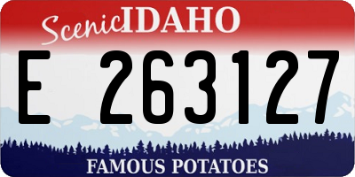 ID license plate E263127