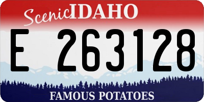 ID license plate E263128