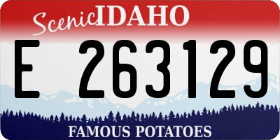 ID license plate E263129