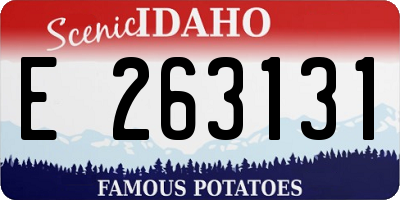 ID license plate E263131